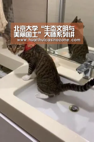 华体会APP
