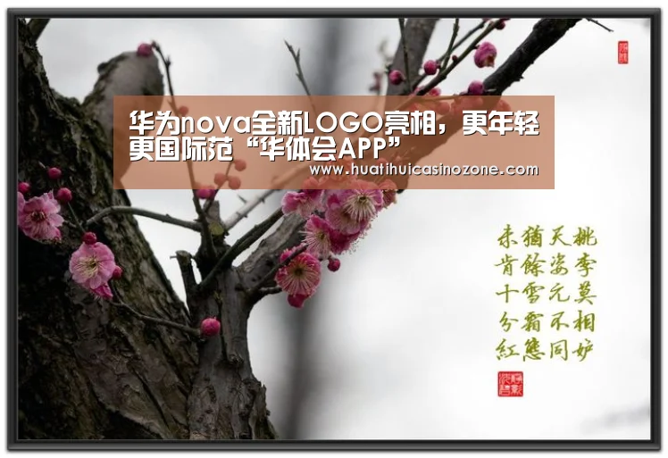 华体会APP