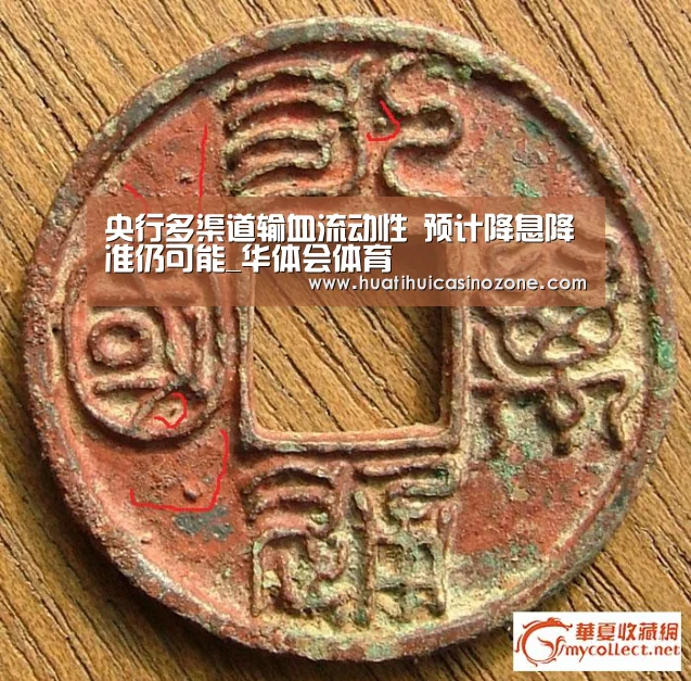 华体会体育
